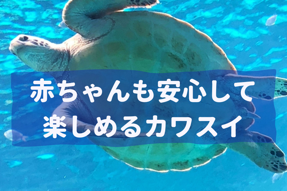 赤ちゃんも楽しめる川崎水族館