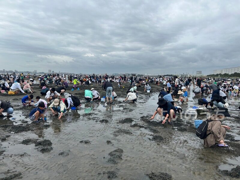 2026ふなばし潮干狩り
