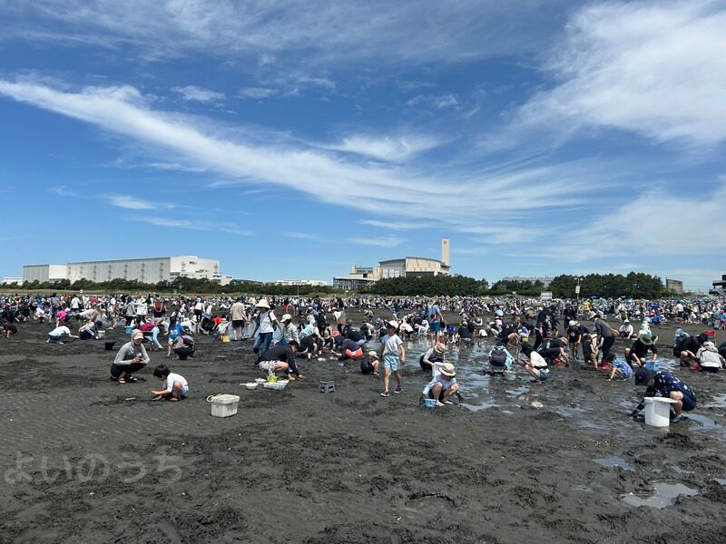 ふなばし三番瀬
