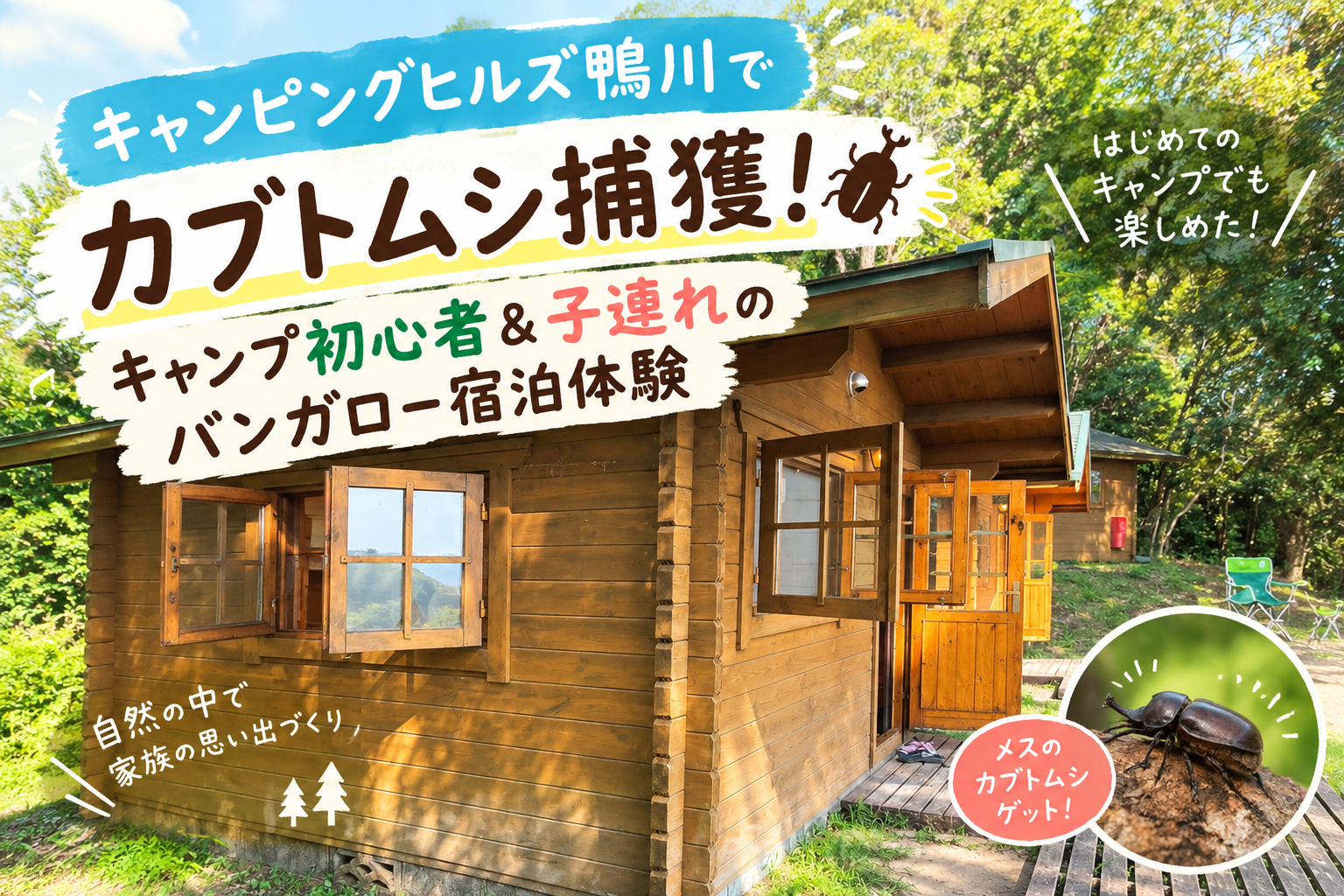 キャンピングヒルズ鴨川でカブトムシ探し